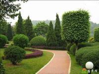 園林綠化工程技術(shù)