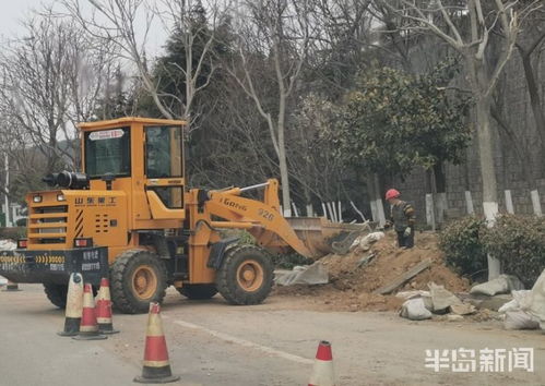 青島市區園林綠化工程有序復工，施工人員忙碌建設美麗家園