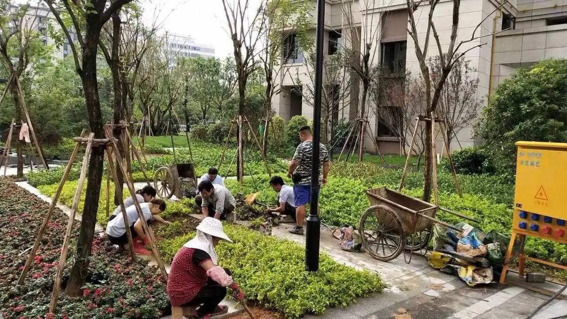 園林景觀工程 從綠化施工打造美麗環境