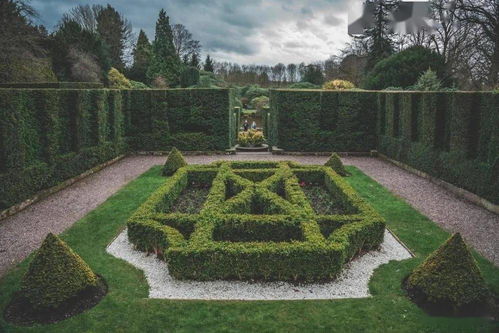 先地下，后地上 園林工程交叉施工的科學管理策略