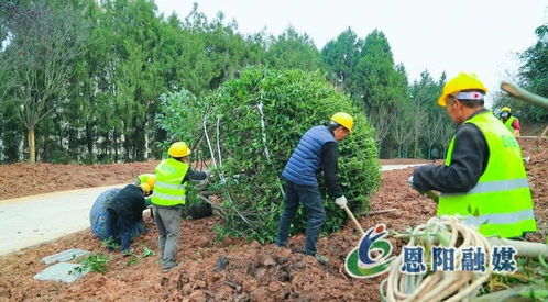 假期不停工，大梁山城市公園建設加速推進體育場地設施工程