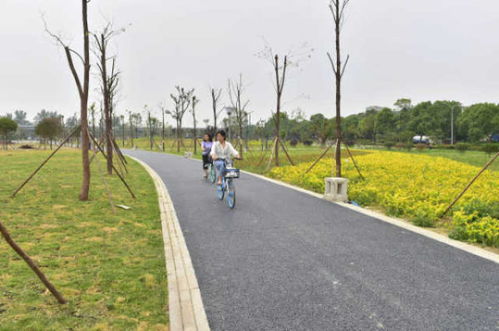 綿陽再添綠色新名片 大型公園試開園，園林綠化工程圓滿竣工